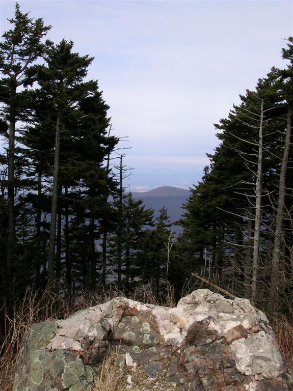 Looking North