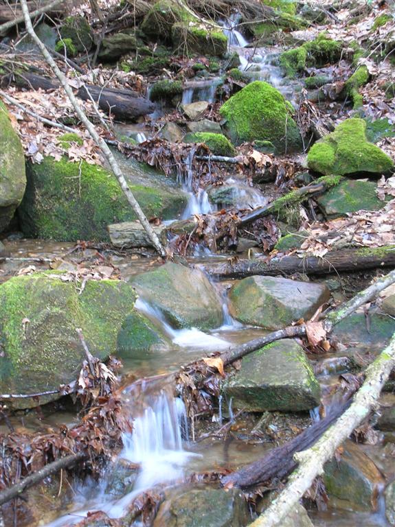 Mountain Stream