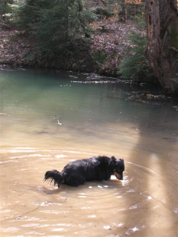 Cooling Off