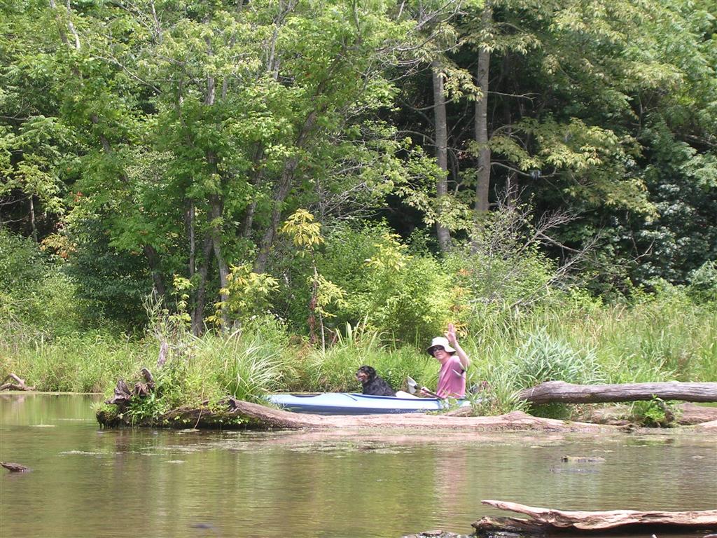 Exploring the Headwaters