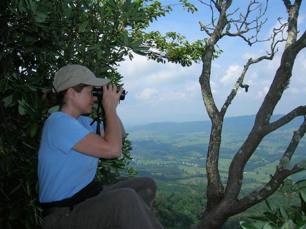 Searching for Raptors