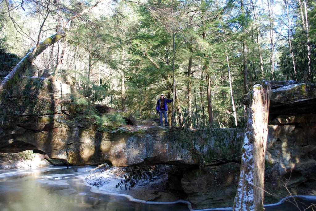 Frozen Stream