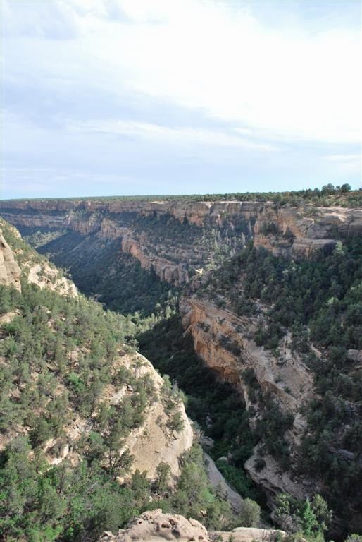 Cliff Canyon