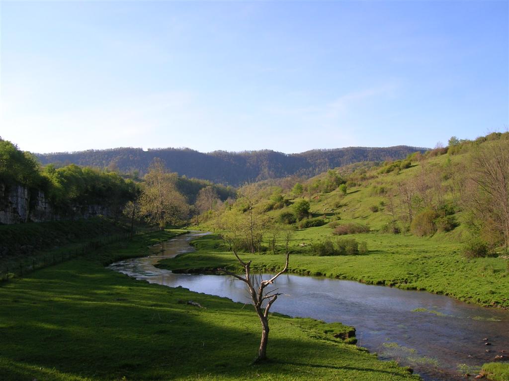 Late Spring in Tazewell County