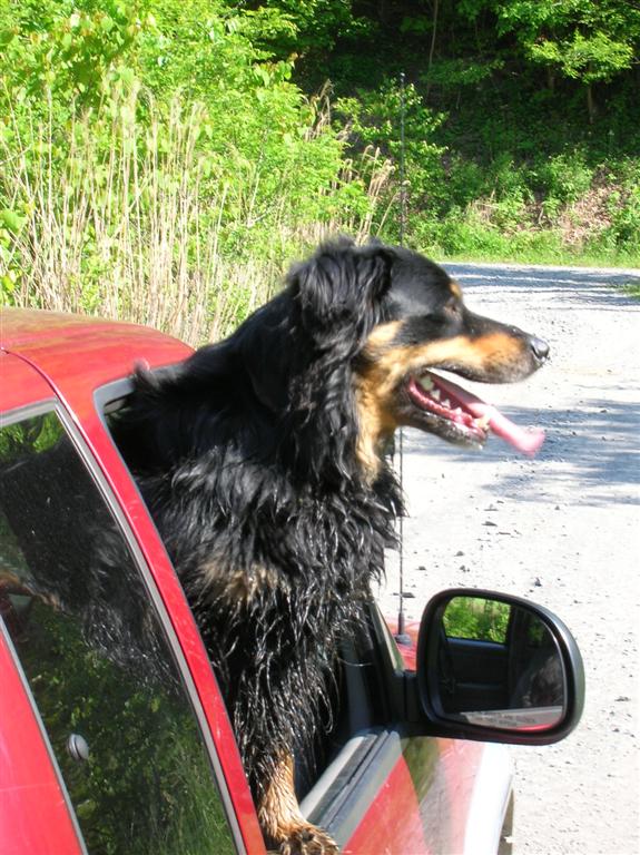 Chazzy Cools Off