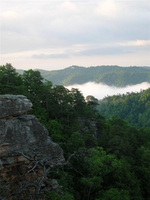 Fog in the Gorge
