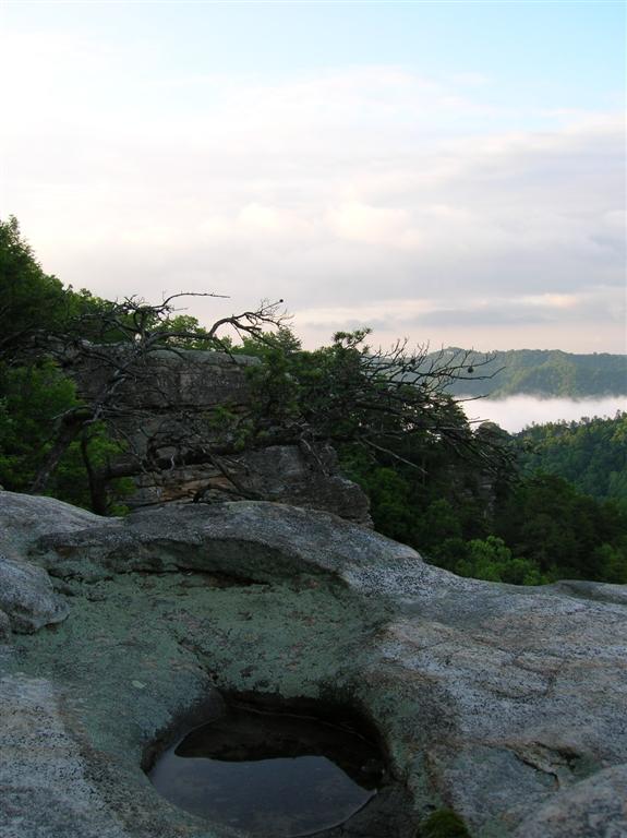 Overlook Pool