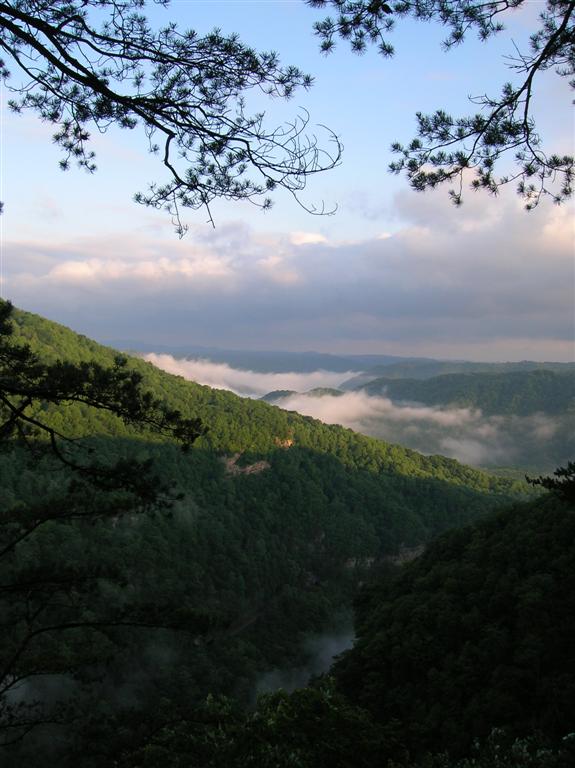 Looking toward Kentucky