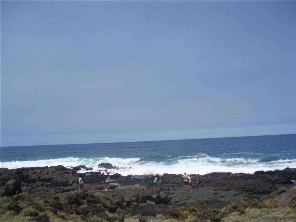 BigIsland08III (15).JPG