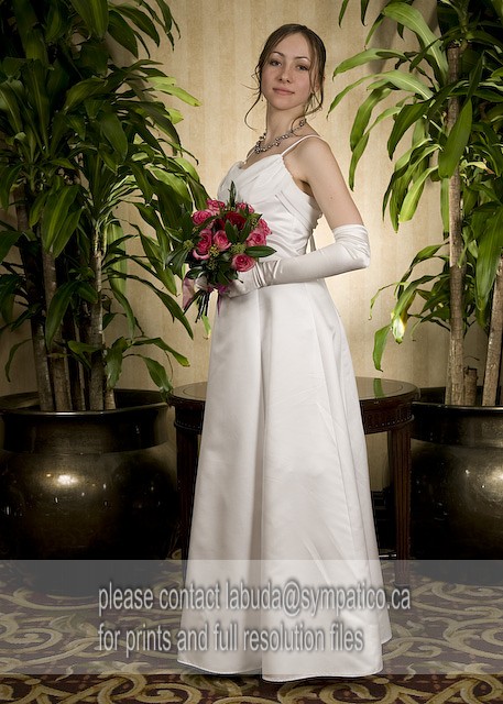 CB2008172-.jpg