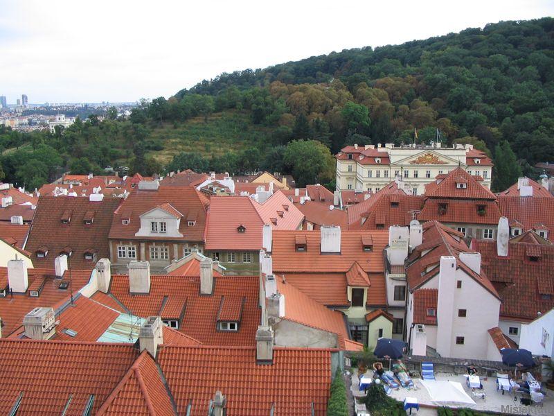 177_7768.JPG