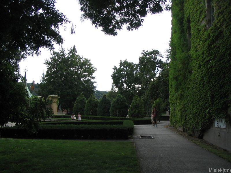 177_7773.JPG