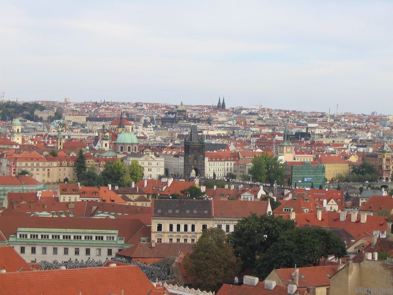 177_7777.JPG