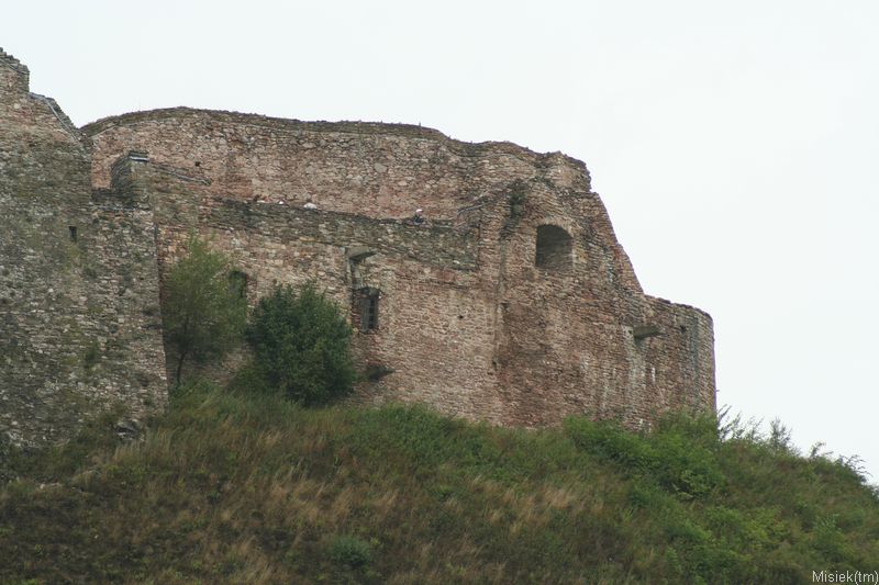 IMG_4869.JPG