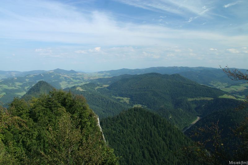 IMG_5067.JPG