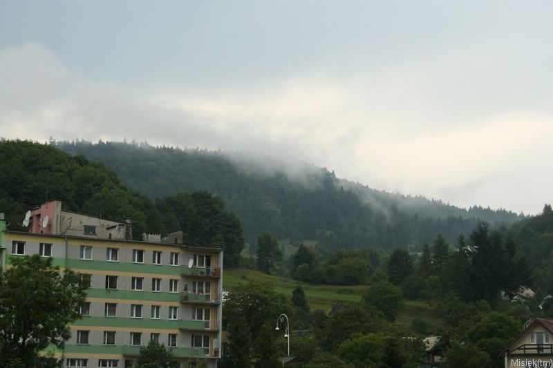 Img_4271.jpg
