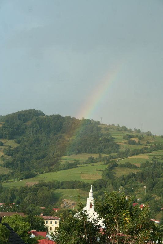 Img_4534.jpg