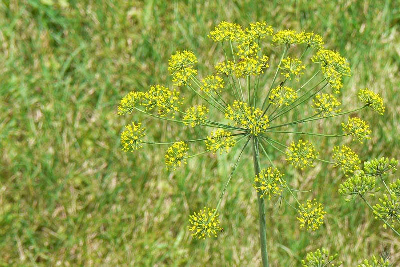 7-18-10.jpg