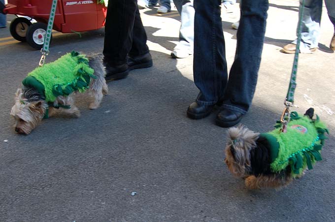 St. Patricks Day Parade 