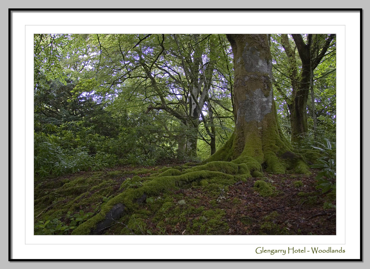 Woodlands (3166)