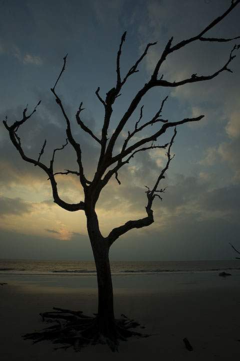 Sunrise at Driftwood Beach