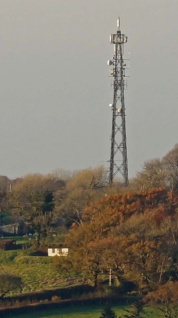 Mast from Clear Image Zooom - PP to normal photo.jpg