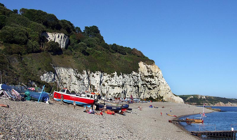 Beer East Devon