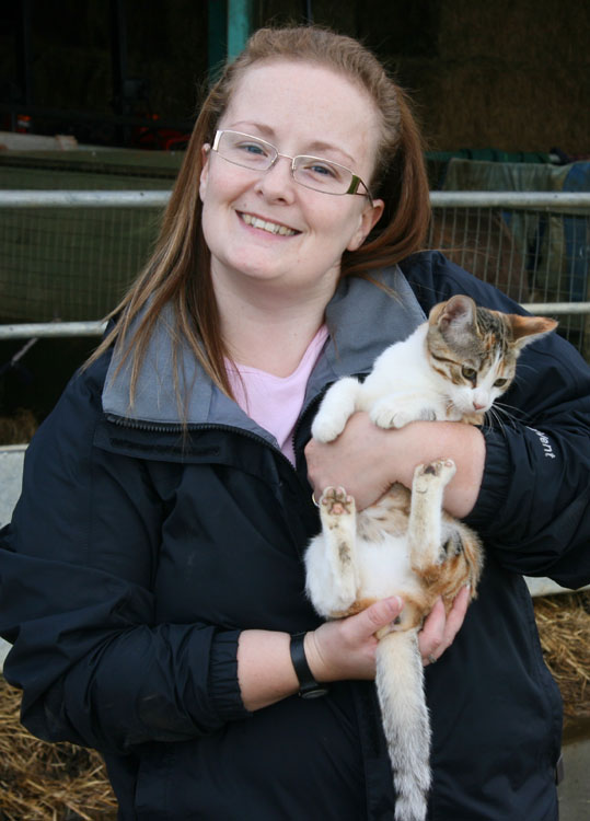 Butts Farm Kitten