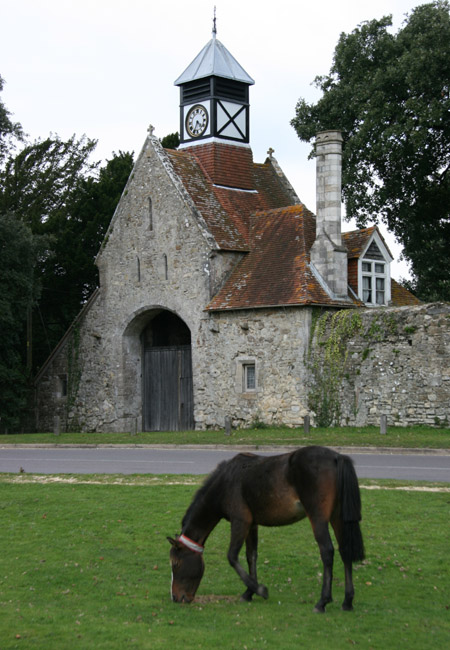 New Forest Ponies - Beaulieu