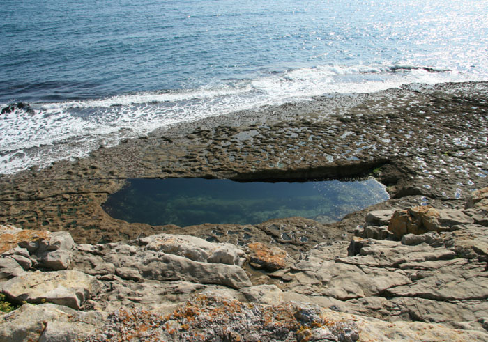 Dancing Ledge, Isle of Purbeck