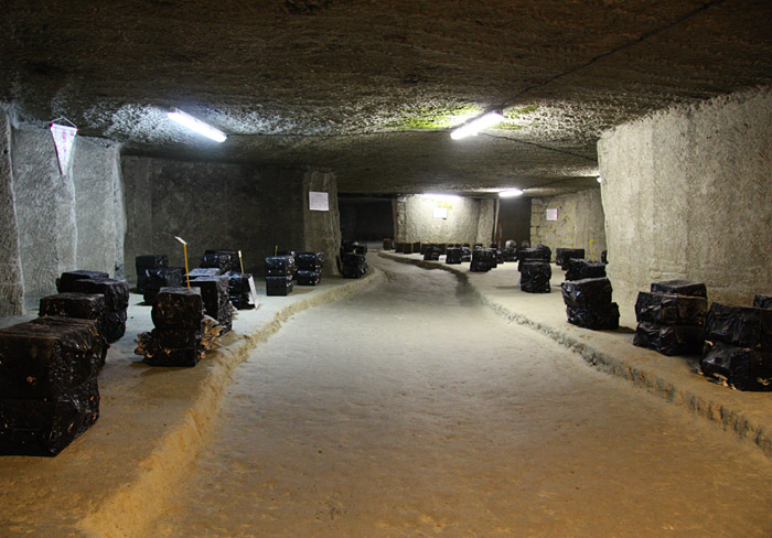 Mushroom Caves Near Samaur