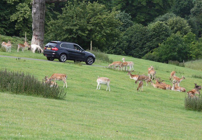 Longleat