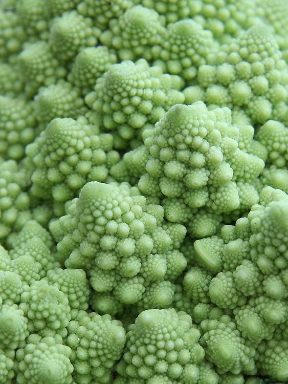 Freaky Cauliflower