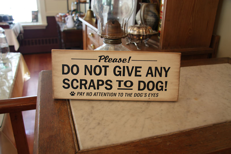 Pay no attention to the dogs eyes, Notchland