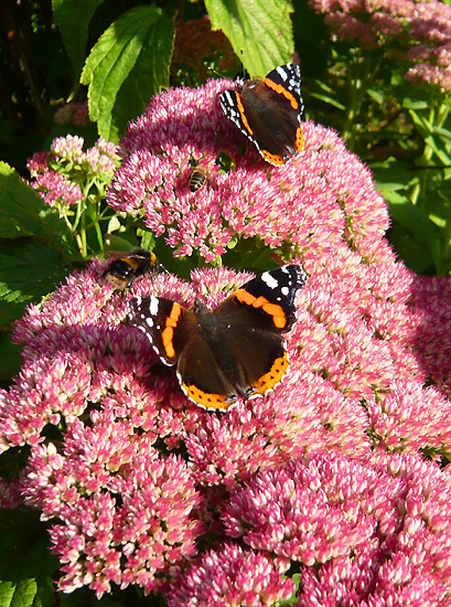 Cragside, Northumberland