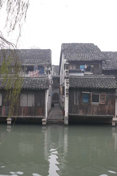 _MG_6450.jpg