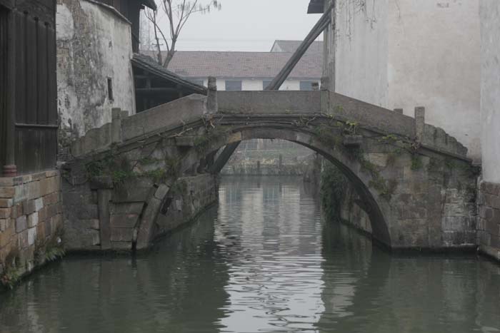 _MG_6494.jpg