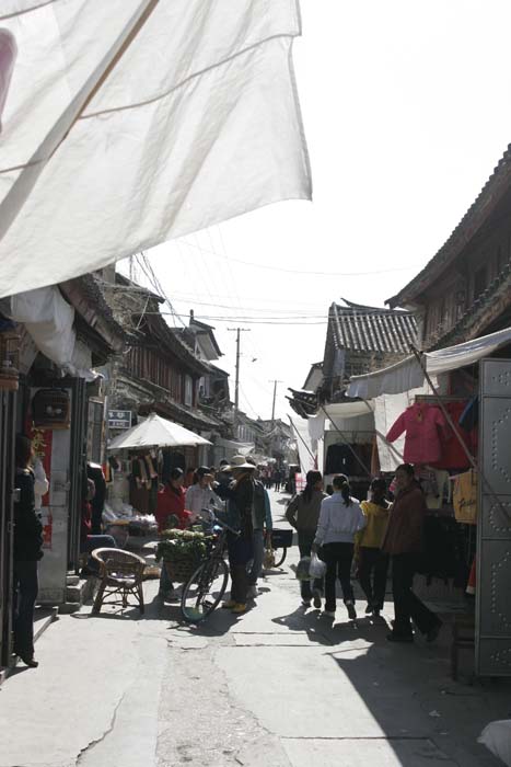 _MG_5736.jpg