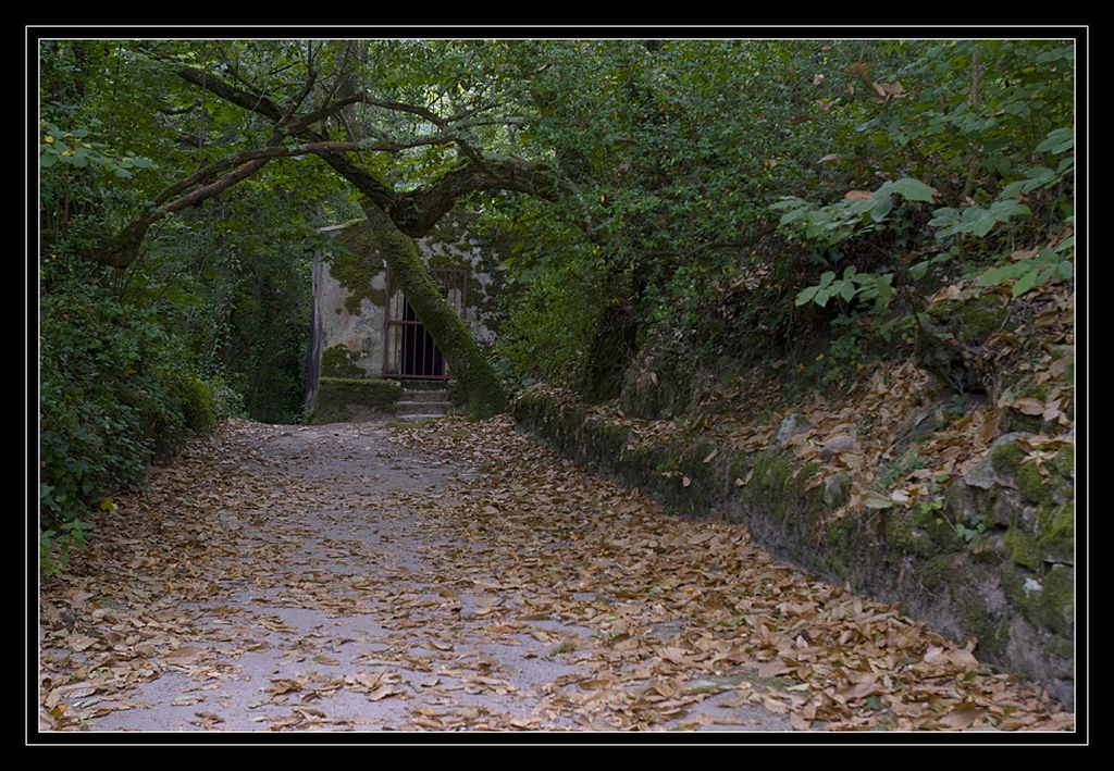 Sintra, monestario los capuchos