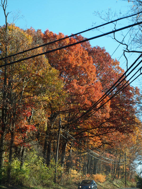 Heading down Route 355