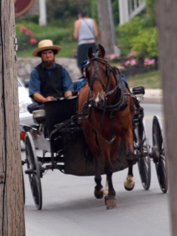 Open carriage