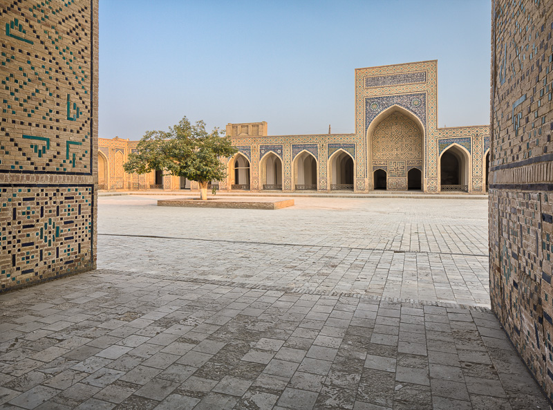 Tree in Kalon Mosque courtyard - Uzbekistan