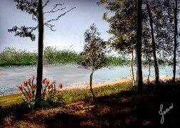Ottawa River Sunshine