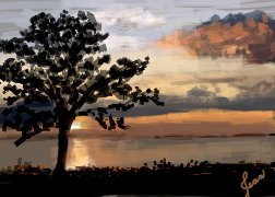 tree and sunset.