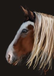 brown  horse