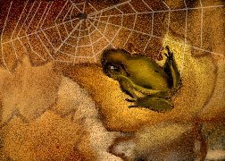 frog