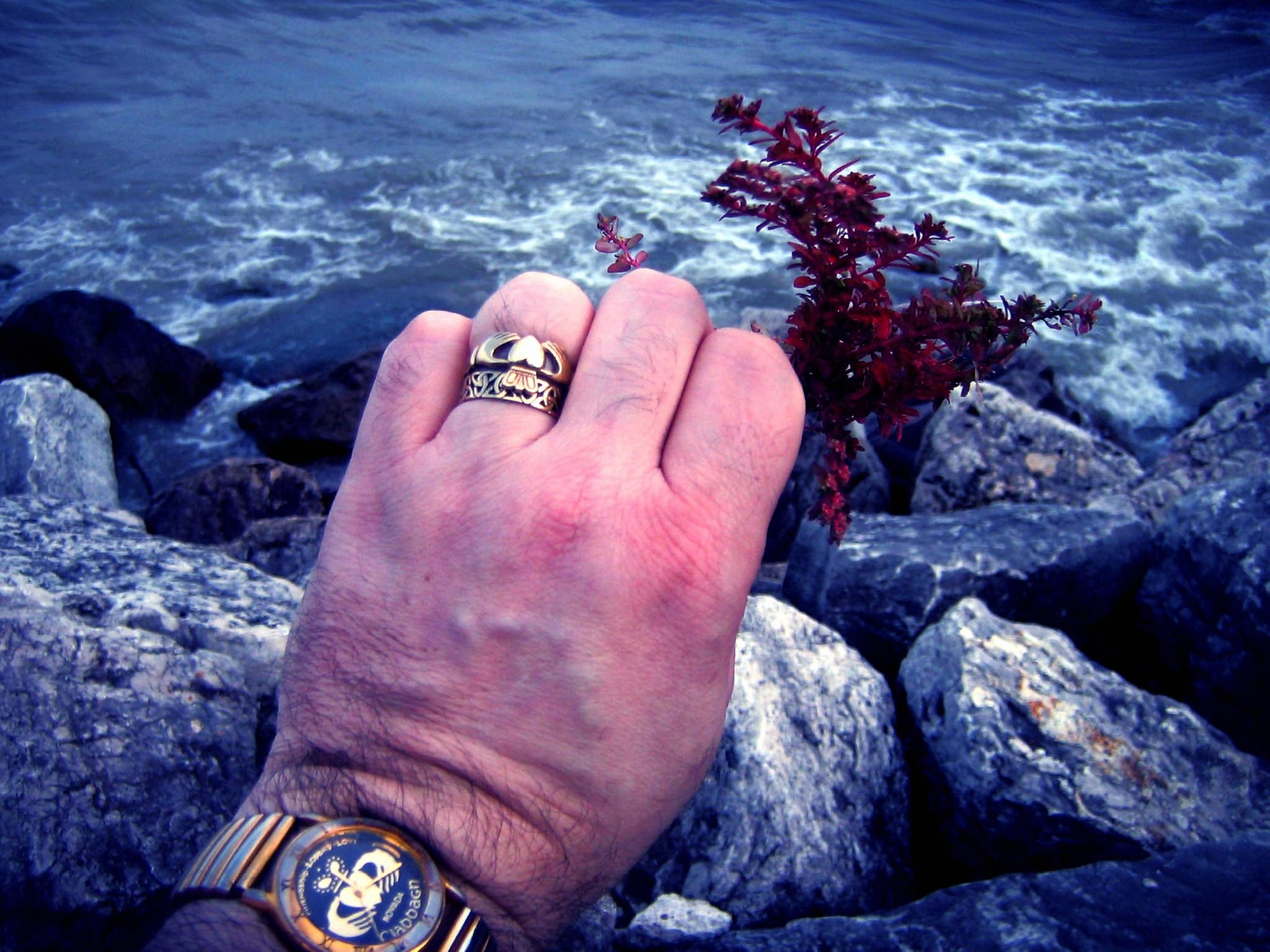 surreal shore songs ospirit :):):)