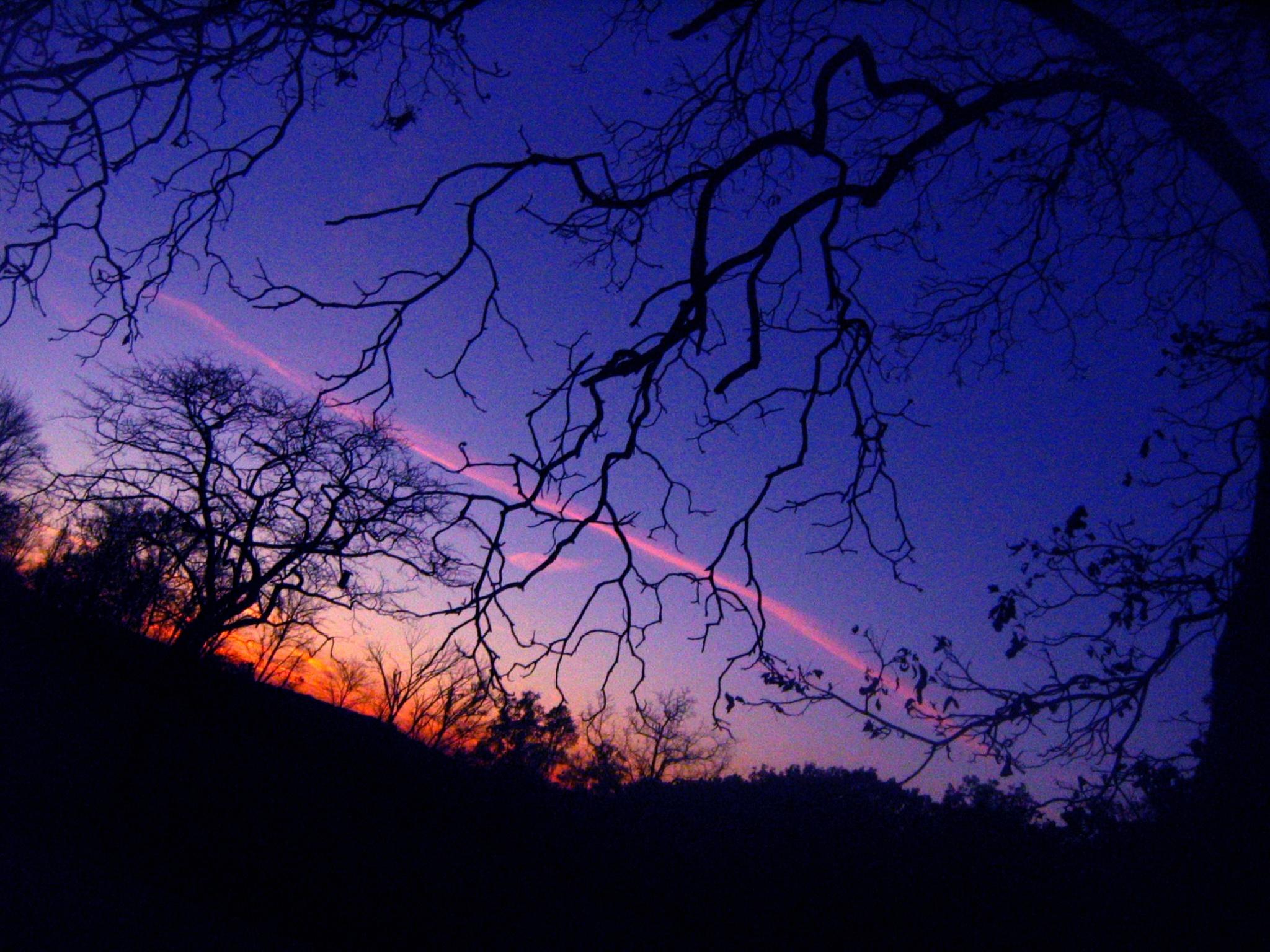 branching OUT TOTALLLEEE with magical~~~mystical~~~muse~ical otherzzz  :):):)