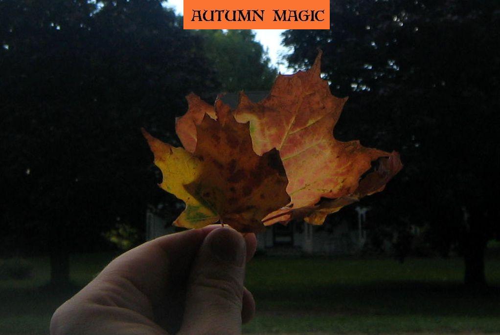 5:51 a.m. official autumn magic begins :):):)