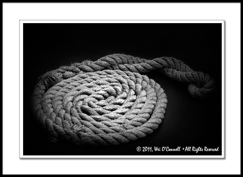 #16. Rope (1948)